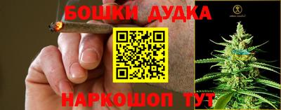 apvp Дубна