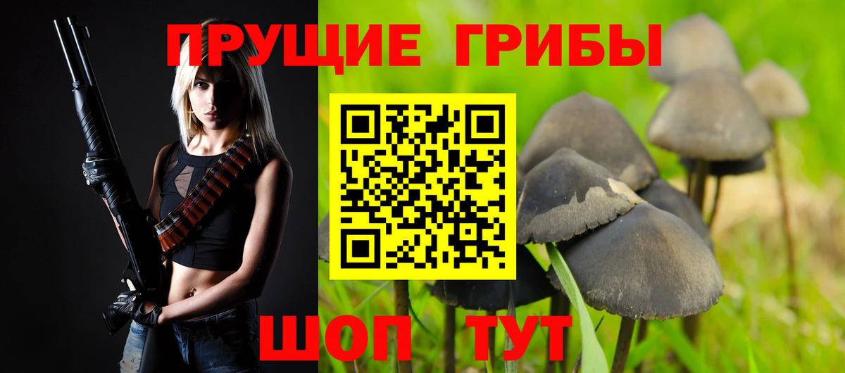 Пушкино  Галлюциногенные грибы ЛСД  Вход с VPN  Галлюциногенные грибы Magic Shrooms 