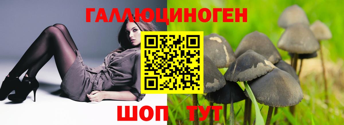 Псилоцибиновые грибы GOLDEN TEACHER Пушкино