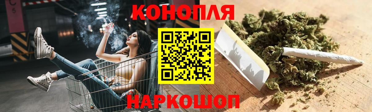 Бошки Шишки планчик Пушкино